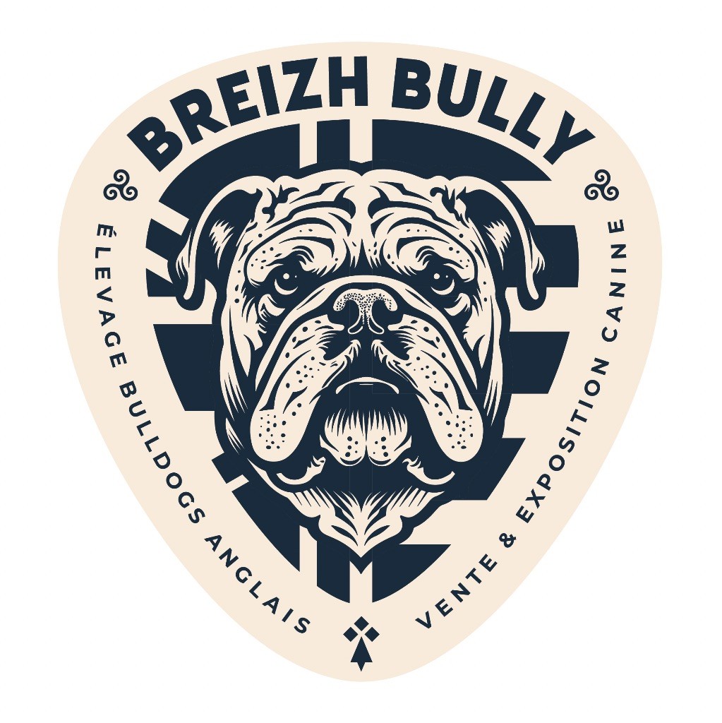 breizh bully - Logo